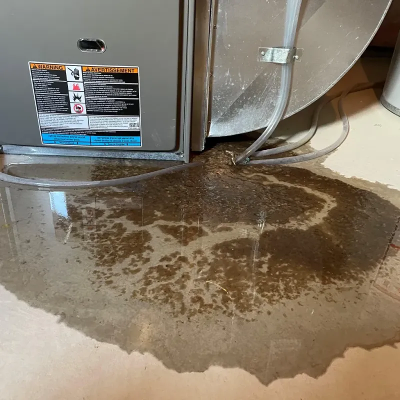 Appliance Leak Cleanup in Heath, TX