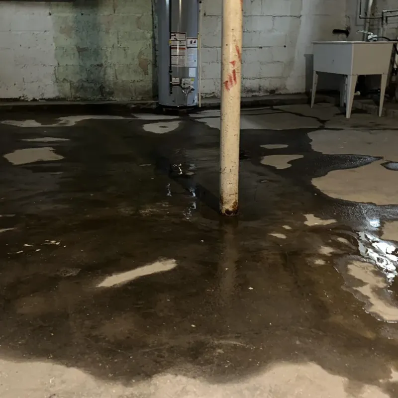 Emergency Water Extraction And Removal in Heath, TX